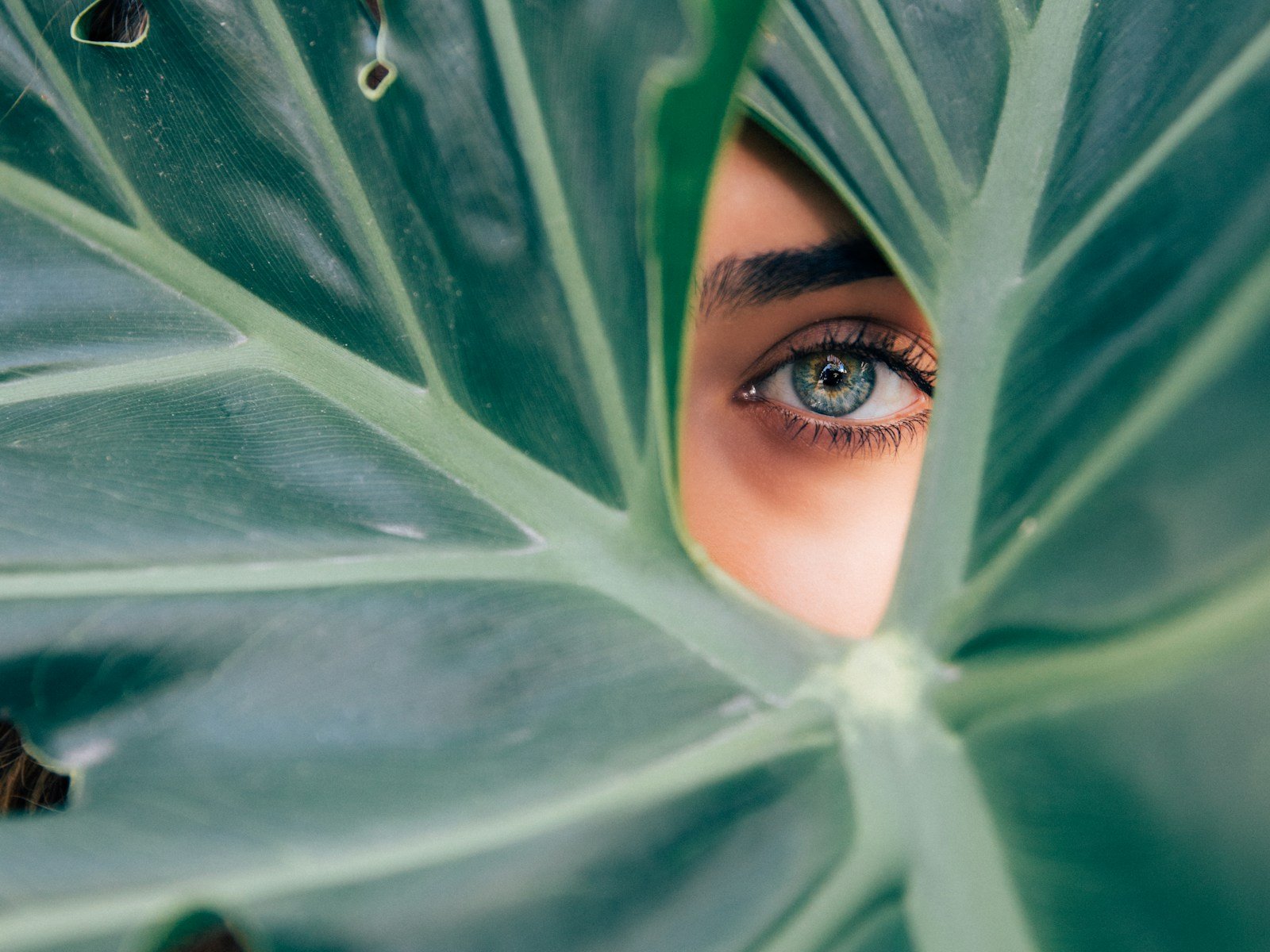 Natural skincare detail for facial treatments