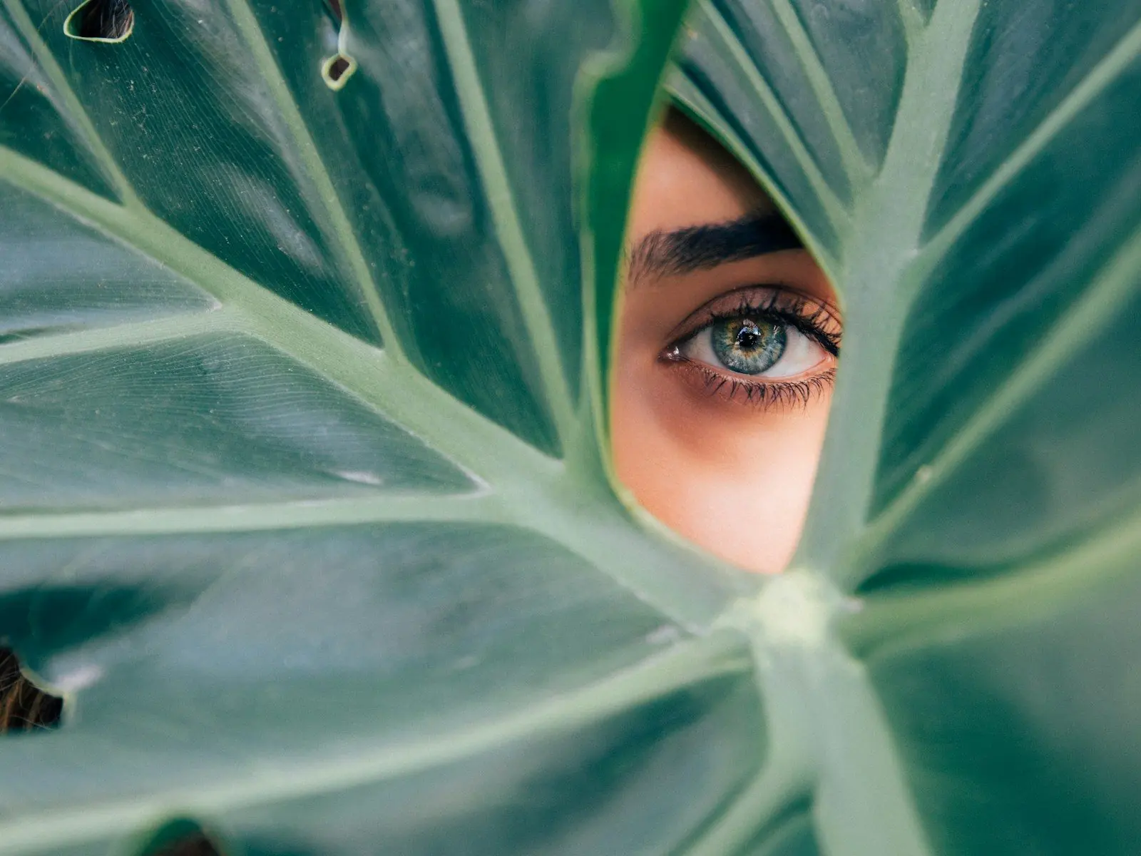 Natural skincare detail for facial treatments